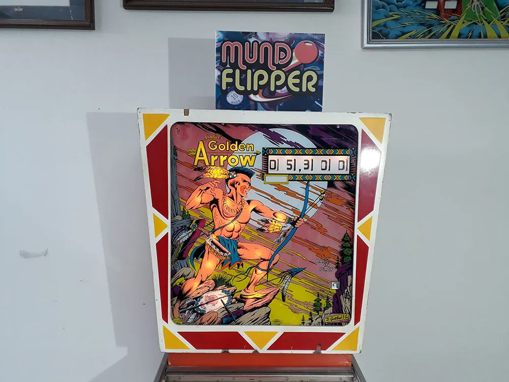 flipper-golden-arrow-5