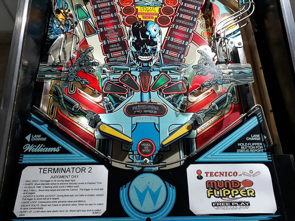 flipper-terminator-3