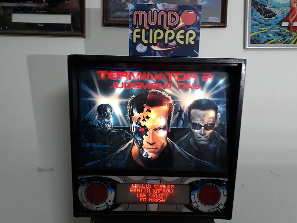 flipper-terminator-5