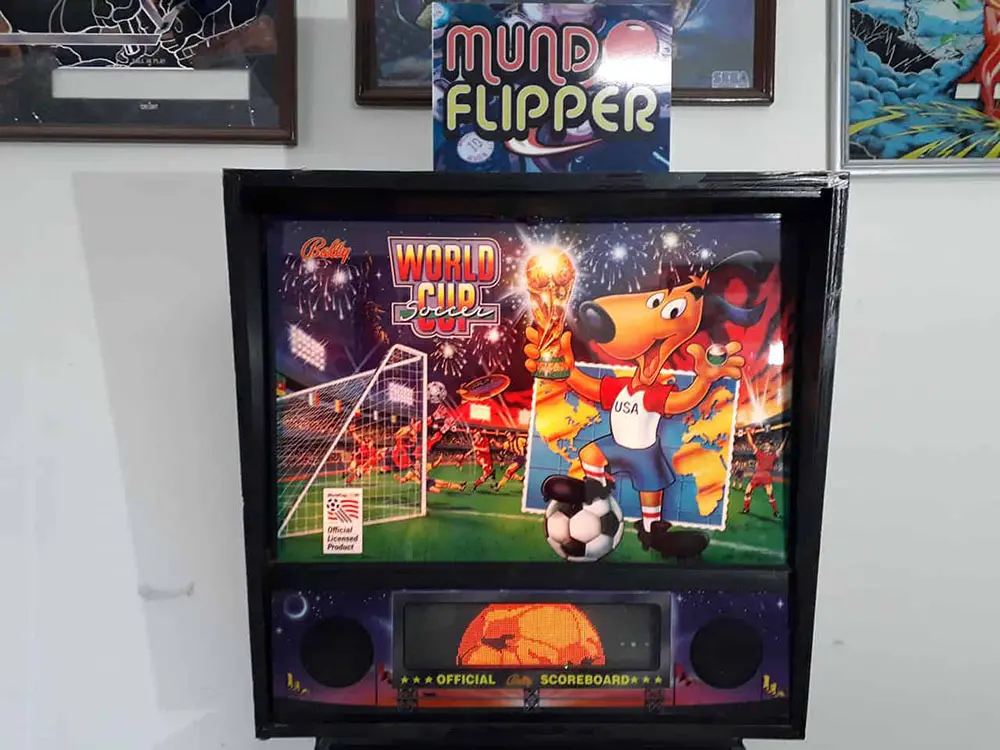 flipper-world-cup-5