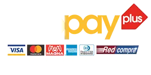 logo webpay